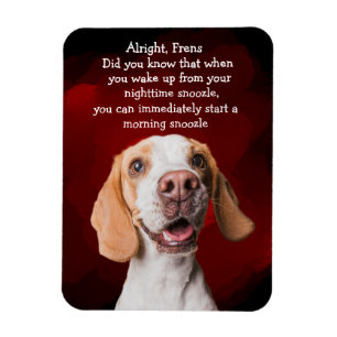 Funny Dog Magnet