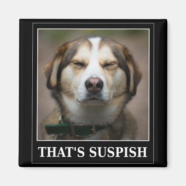 Funny Dog Meme Magnet (Vorne)