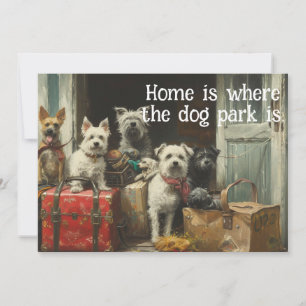 Funny Dog Moving New Address Ankündigung