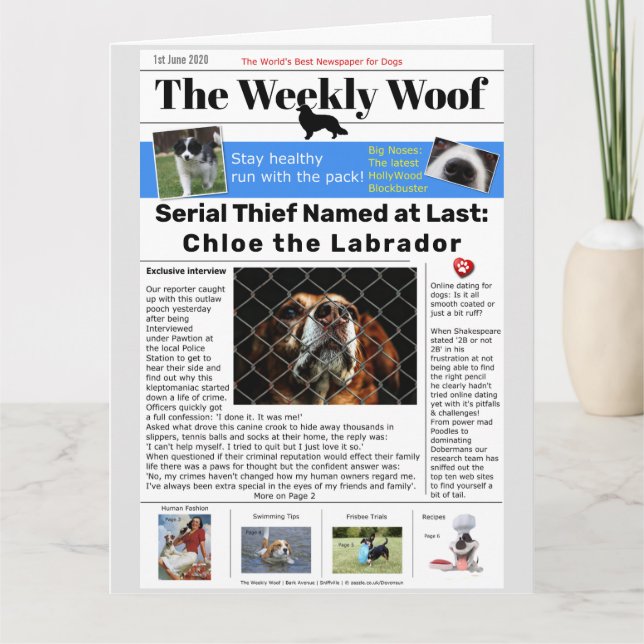 Funny Dog Newspaper Karte (Vorderseite)