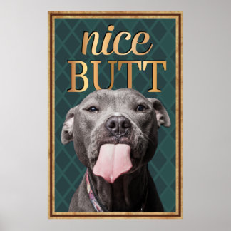 Funny Dog Nice Hintern Bad Mauer Art Poster