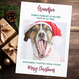 Funny Dog Opa Pet Foto Großhund Weihnachten