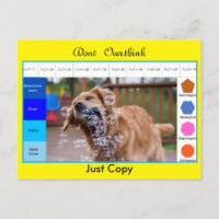 Funny dog pädagogische Spiele