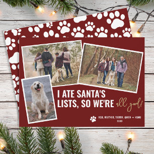 Funny Dog Pictures Personalisiertes Weihnachts-Fot Feiertagskarte