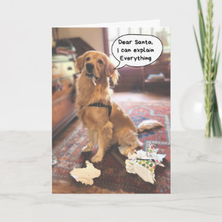 Funny Dog Santa I kann alles erklären Weihnachten Karte