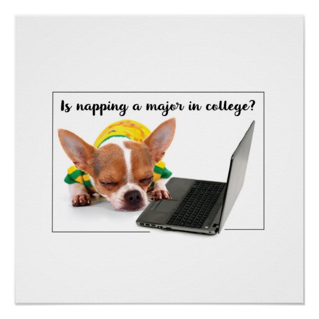 Funny Dog Schlafen auf Laptop-Computer Poster (Vorderseite)