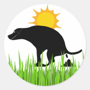 Funny Dog Stickers