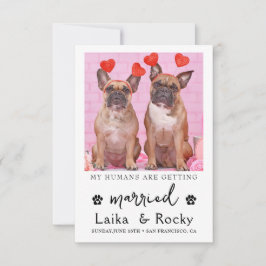 Funny Dog Wedding Invitation Save The Date