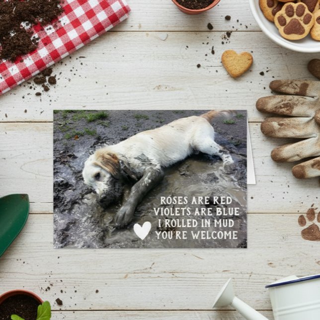 Funny Dog Welppy Valentine's Day Meme (Von Creator hochgeladen)