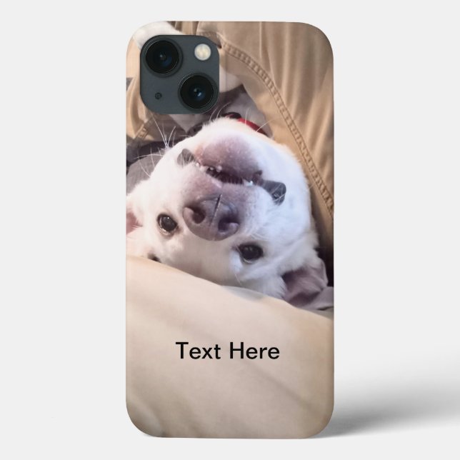 Funny Dog wird nicht zu einem komischen Foto Case-Mate iPhone Hülle (Rückseite)