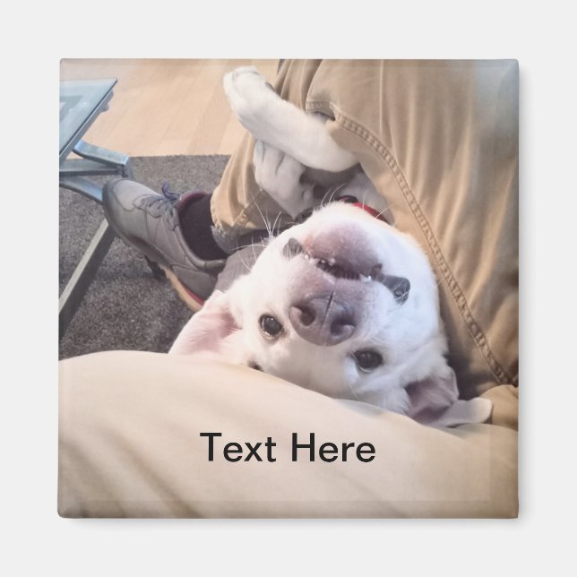Funny Dog wird nicht zu einem komischen Foto Magnet (Vorne)