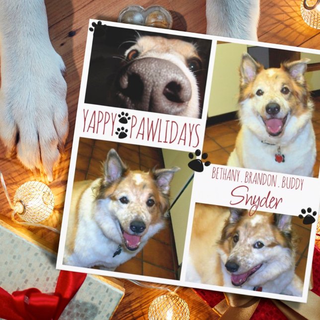 Funny Dog YAPPY PAWLIDAYS 4 Foto Paw Prints Card Karte (Von Creator hochgeladen)