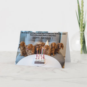 Funny Dogs Birthday Greeting Card  Karte