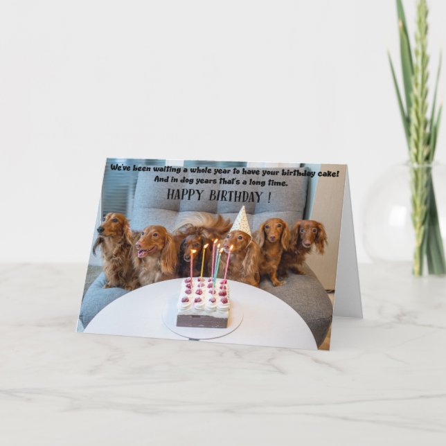 Funny Dogs Birthday Greeting Card Karte (Vorderseite)