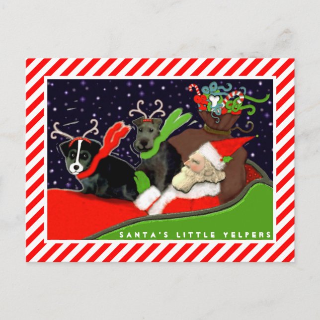 Funny Dogs Christmas Cards Feiertagspostkarte (Vorderseite)
