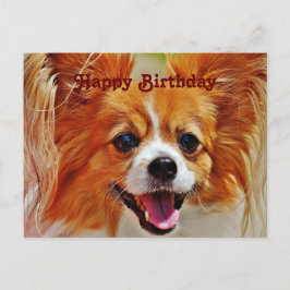 Funny Dogs Happy Birthday Postkarte