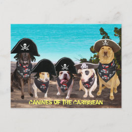 Funny Dogs reden wie ein Piratentag Postkarten
