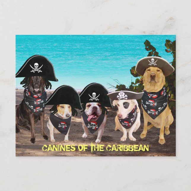 Funny Dogs reden wie ein Piratentag Postkarten (Vorderseite)