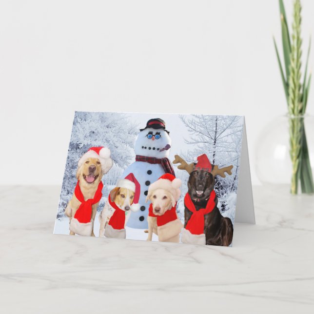 Funny Dogs Season's Greetings Feiertagskarte (Vorderseite)