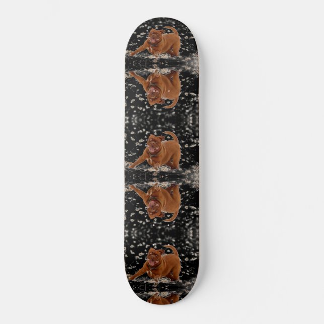 Funny Dogs Skateboard (Vorderseite)