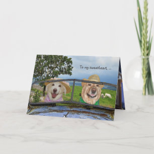 Funny Dogs Valentine für Sweetheart Feiertagskarte