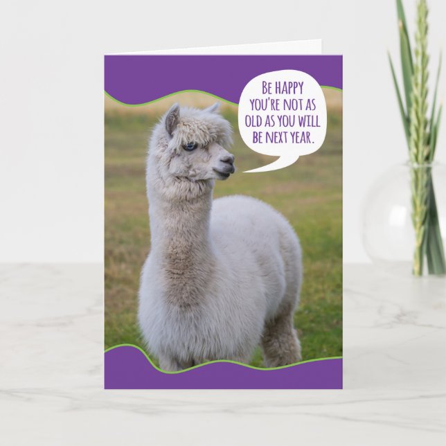 Funny Dolly Llama Birthday Wisdom Karte (Vorderseite)