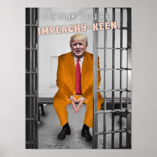 Funny Donald Trump Gefangennahme Spaß im Gefängnis Poster