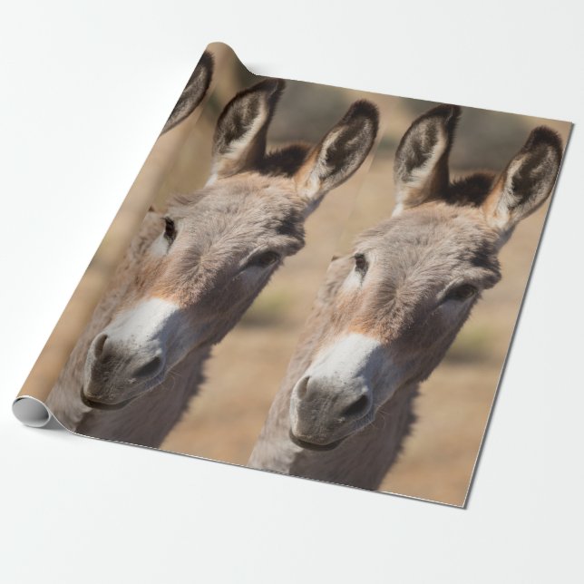 Funny Donkey Gefecht Geschenkpapier (Ungerollt)