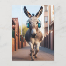 Funny Donkey - Musik auf einem Jog