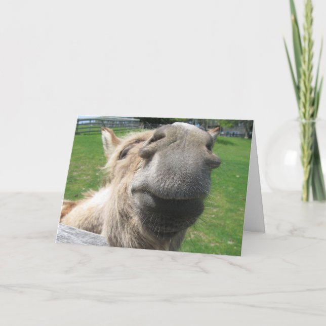 Funny Donkey Nah hoch Karte (Vorderseite)