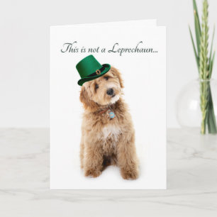 Funny Doodle St. Patricks Day Karte
