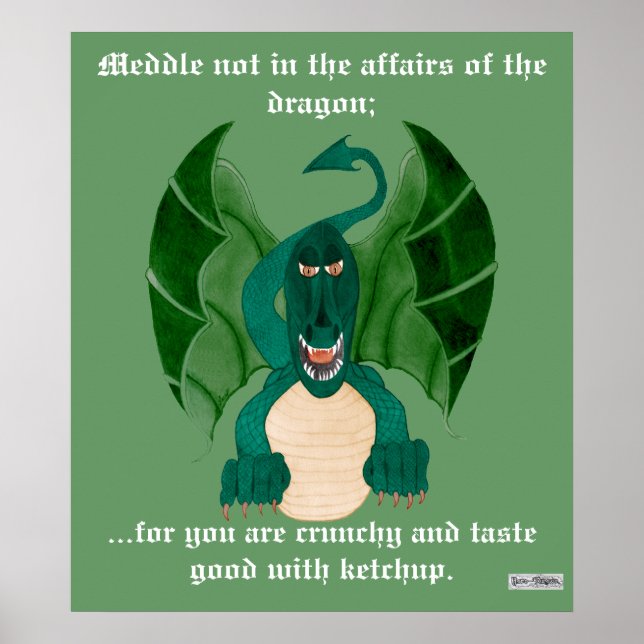 Funny Dragon Poster (Vorne)
