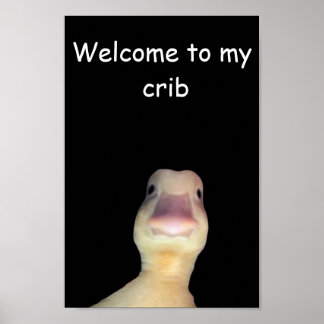 Funny Duck Meme: Willkommen bei My Crib Duck Poster