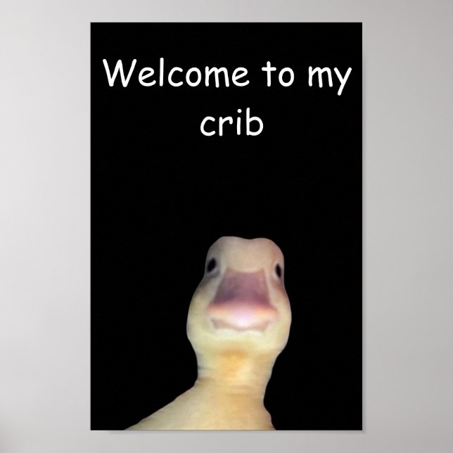 Funny Duck Meme: Willkommen bei My Crib Duck Poster (Vorne)