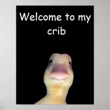 Funny Duck Meme: Willkommen bei My Crib Duck