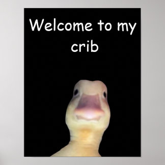 Funny Duck Meme: Willkommen bei My Crib Duck Poster