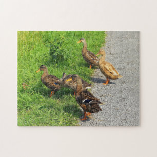Funny Ducks Puzzle