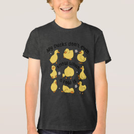 Funny Ducks Sarcastic Tri-Blend Shirt