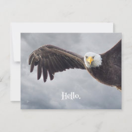Funny Eagle Hello Jeder Anlass Blank Postkarte