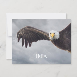 Funny Eagle Hello Jeder Anlass Blank Postkarte