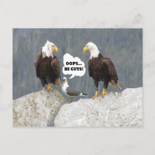 Funny Eagles und Seagull Postkarte