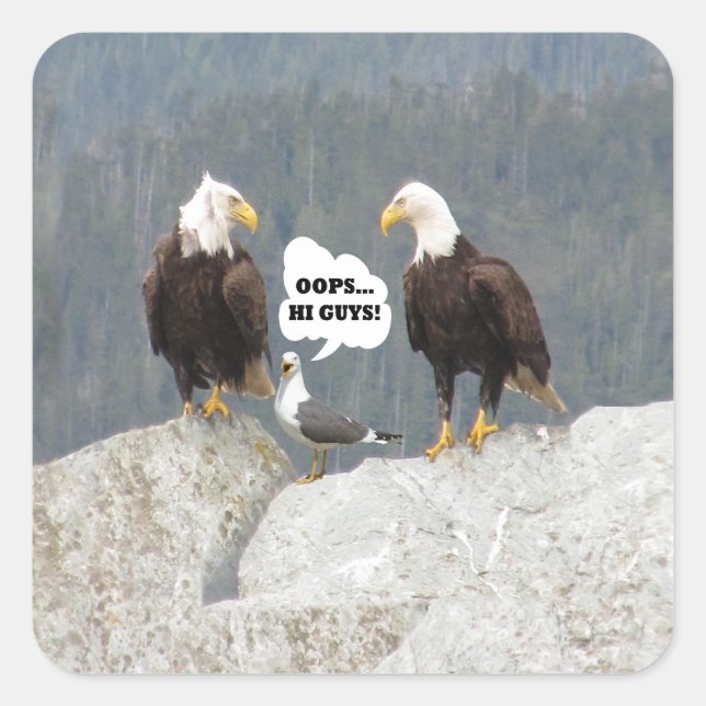 Funny Eagles und Seagull Quadratischer Aufkleber (Vorderseite)