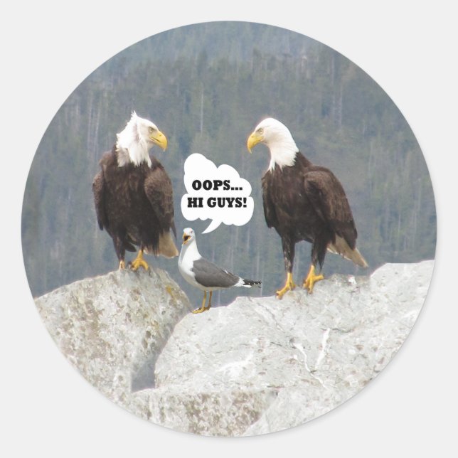 Funny Eagles und Seagull Round Sticker (Vorderseite)