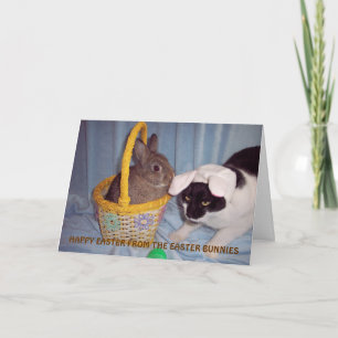 FUNNY EASTER CARD FEIERTAGSKARTE