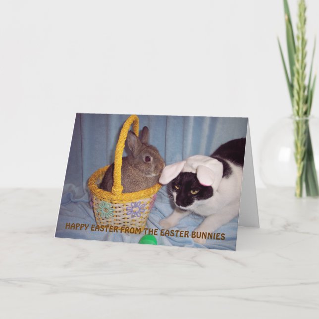 FUNNY EASTER CARD FEIERTAGSKARTE (Vorderseite)