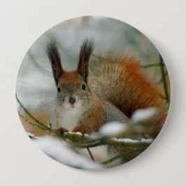 Funny Eichhörnchen im Winter Button
