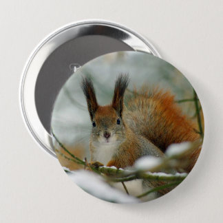 Funny Eichhörnchen im Winter Button