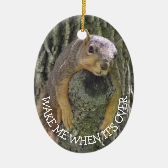 Funny Eichhörnchen Weihnachts-Spaß Keramik Ornament (Vorne)