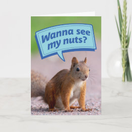 Funny Eichhörnchen - Willst du meine Nüsse sehen?  Karte