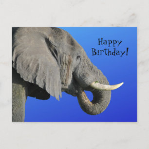 Funny Elephant Age irrelevant Blue Happy Birthday Postkarte